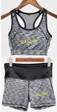Quick Dry Fitness Running Set Gym Sportswear Bra Tracksuit Sports Suits