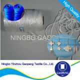 High Tenacity Polyester Thread for Clothing/Garment/Shoes/Bag/Case