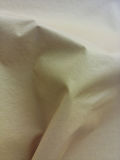 Hwfad07 Nylon Ripstop Crinkle Fabric with Lamination Print