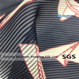 10s Yarn Stripe Organza Fabric for Fashion Clothing