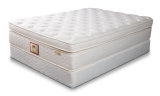 Top Quality Newst Design OEM Spinal Max Bed Mattress
