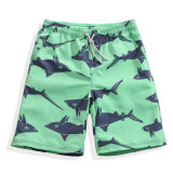 Men Shorts Swim Wear Printed Swim Shorts Beach Shorts