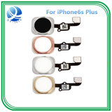 Original Home Button with Flex Cable for iPhone 6s Plus Phone Accessories