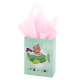 Different Designs Boys and Girls Laminated Paper Bag for Baby