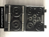 20kgs Cast Iron Dumbbell Set with Blow Mold Case