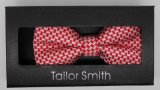New Design Fashion Men's Woven Bow Tie (DSCN0094)