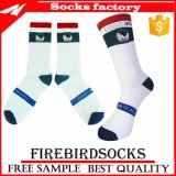 Wholesale Custom Cycling Sports for Men and Woman Socks