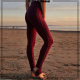 Top Sales Slimming Red Yoga Leggings Dry Fit Woman Gym Apparel