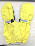 Winter Sport Skiing Gloves, and for Riding and Fishing