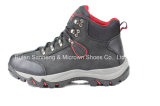 Best Selling Industry Safety Shoes with Steel Toe Cap and EVA Midsole Sn2001
