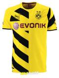 2014-2015 Dortmund Soccer Jersey Master / Away Dott Jersey Training Suit Suit
