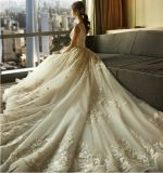 2017 Embroidered Lace Bridal Wedding Dresses PLD3207
