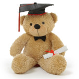 Custom Graduation Teddy Custom Plush Toy