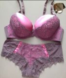 OEM Ladies Fashion Bra and Panty Set with Laces