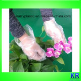 HDPE Disposable Gloves, Plastic Gloves