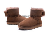 Vogue MID Calf Sheepskin Lace Boot for Young Ladies