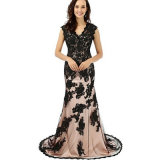 Formal Evening Dress Mother of Bride Trumpet / Mermaid V-Neck Court Train Lace with Appliques / Lace (Dream-100098)