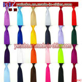 Yiwu Market Silk Necktie Polyester Tie Neckwear (B8042)