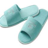 Wholesale Disposable Hotel Slippers for SPA Slipper (DPF10328)