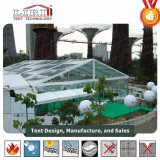 Party Tents with Clear Roof for Events