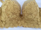 Good Quality Yellow Lace Coverage Underwired Bra Without Panty