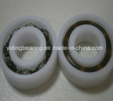 Hot Sale with Glass Balls Plastic Bearing 6202