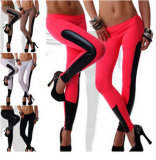 2015 New Designed Women Faux Leather Trim Stretch Leggings 23689