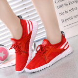 Wholesale Womens Sneaker Shoes/ Low Price Sneaker Manufacturer Shoes