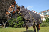 Winter Horse Turnout Blanket-Weatherbeeta-1680d-D-a-N Heavy Closeout (NEW-01) 66