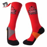 Factory Custom Men Women Cotton Terry Sports Socks with Arch Support