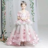 a Lovely Little Princess Dress