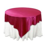 Cheap Promotional Polyester Table Cloth & Napkins for Hotel Restaurant (DPF10782)