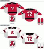 Customized American Hockey League Albany Devils Hockey Jersey