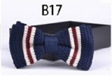 New Design Fashion Men's Knitted Bowtie (B17)
