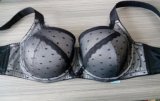 New Arrival Sexy Lace Big Size Bra for Lady (CS9931)