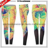 Free Sample Cheapest High Quality Low MOQ Yoga Pants
