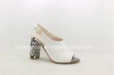 Sexy Fashion High Heels Lady Sandals for Sexy Women
