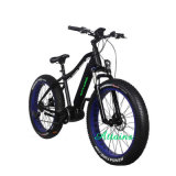 250W/500W/750W Brushless Motorized Men Beach Electric Bicycle with LCD Display