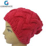 Fashion Cable Knitted Hat Girl Style Warm Beanie Hat (Hjb011)