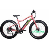 48V 500W Brushless Rear Motor Man Electric Bicycle Fat Tyre E-Bicycle