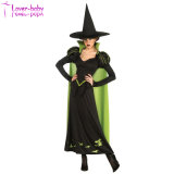 Adult Wicked Witch of The West Costume L15527