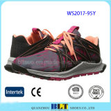 Latest Design Wholesale Sneakers Sport Shoes for Woman