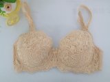 Western Style Cotton Cup Large Size Bra (CS927)