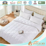 Cutomized Down Blanket White Goose Feather and Down Quilt