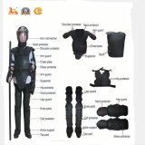 Police Hot Sale Anti Riot Gear /Suit Fbf-SD