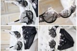 New Design Transparent Ladies Bra and Panty (FPY308)