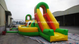 Inflatable Running Football Game Sports Games (RB9004)