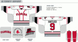 Customized Echl Florida Everblades Ice Hockey Jersey