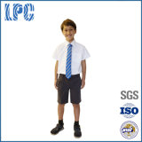 Royal Private Primary School Uniform for Boy