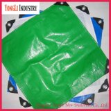 Low Price PE Tarpaulin/Tarps with UV Treated for Car /Truck / Boat Cover